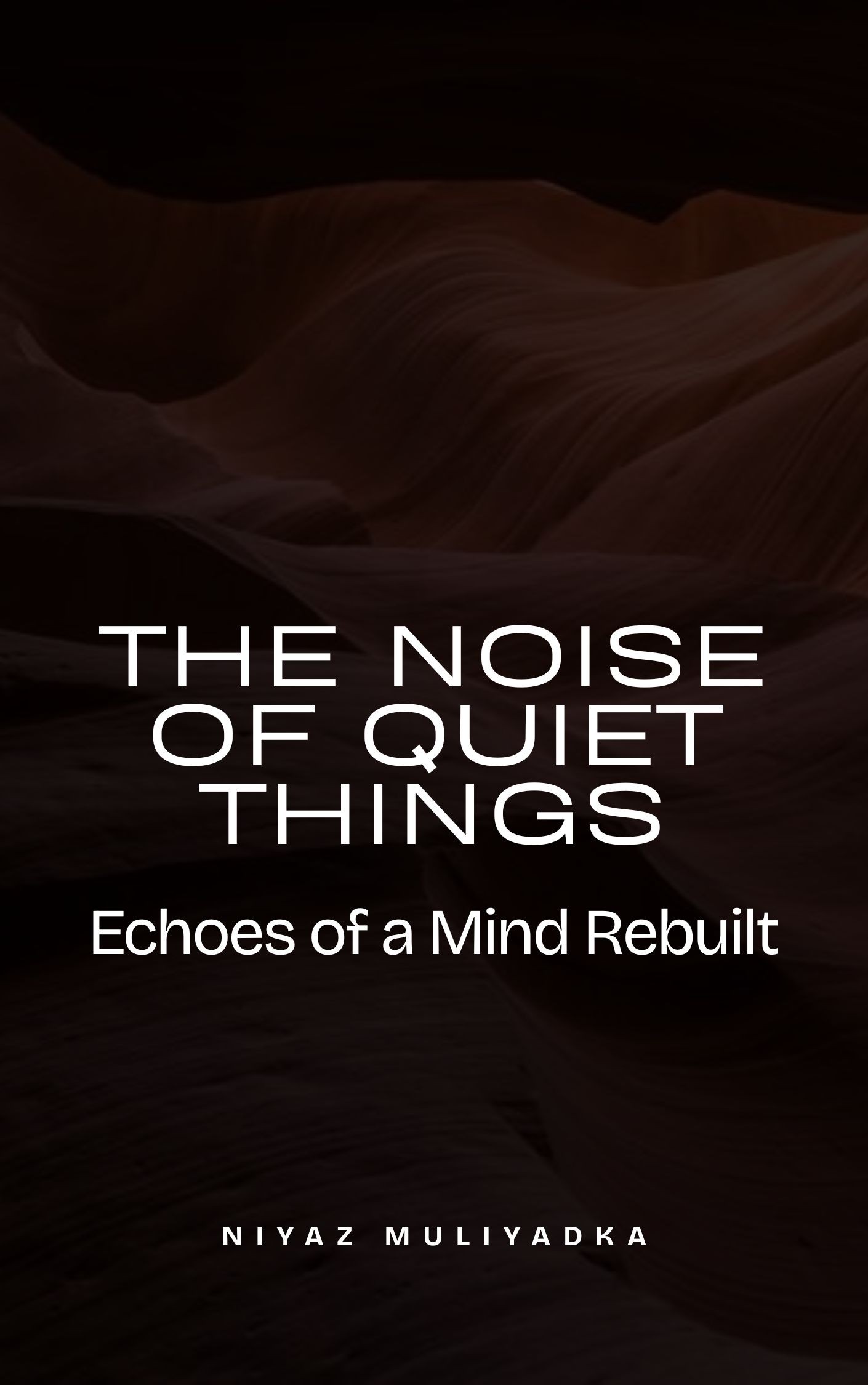 The Noise of Quiet Things by Niyaz Muliyadka